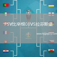 FSV比辛根08VS拉芬斯堡