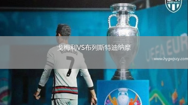 戈梅利VS布列斯特迪納摩