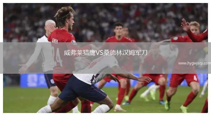 威弗萊獵鷹VS桑德林漢姆軍刀