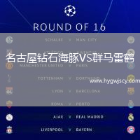 名古屋鉆石海豚VS群馬雷鶴