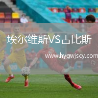 埃爾維斯VS古比斯