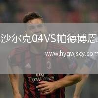沙爾克04VS帕德博恩