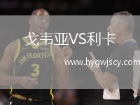 戈韋亞VS利卡