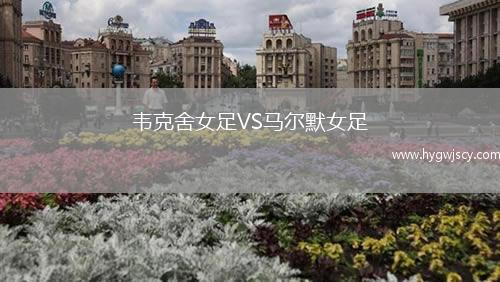 韋克舍女足VS馬爾默女足