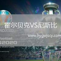 霍爾貝克VS尼斯比